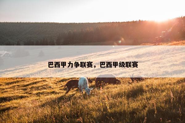 巴西甲力争联赛，巴西甲级联赛