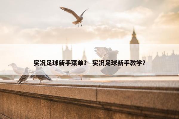 实况足球新手菜单？ 实况足球新手教学？