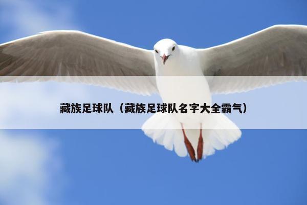 藏族足球队（藏族足球队名字大全霸气）