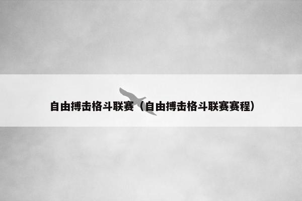 自由搏击格斗联赛（自由搏击格斗联赛赛程）