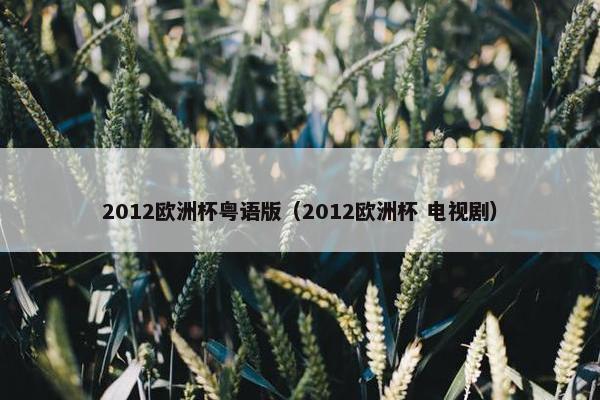 2012欧洲杯粤语版（2012欧洲杯 电视剧）