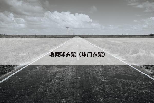 收藏球衣架（球门衣架）