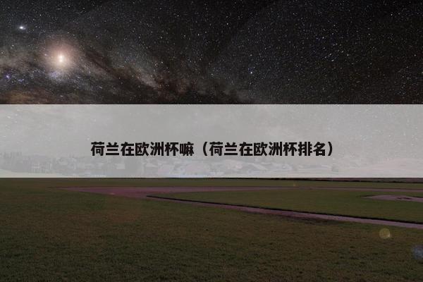 荷兰在欧洲杯嘛（荷兰在欧洲杯排名）