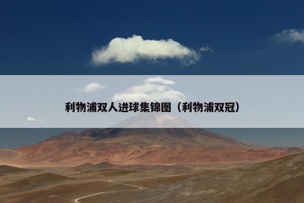 利物浦双人进球集锦图（利物浦双冠）