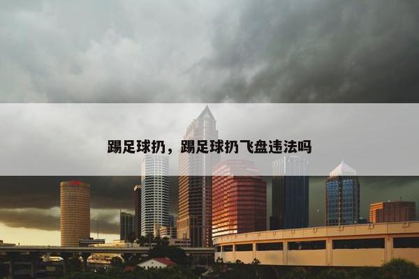 踢足球扔，踢足球扔飞盘违法吗