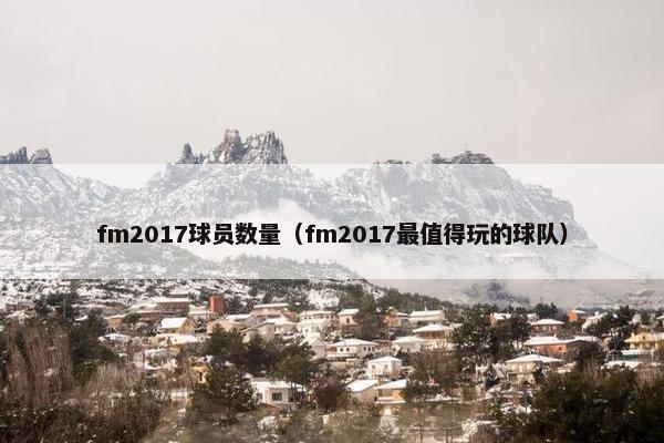 fm2017球员数量（fm2017最值得玩的球队）