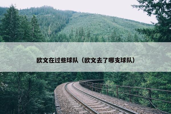欧文在过些球队（欧文去了哪支球队）