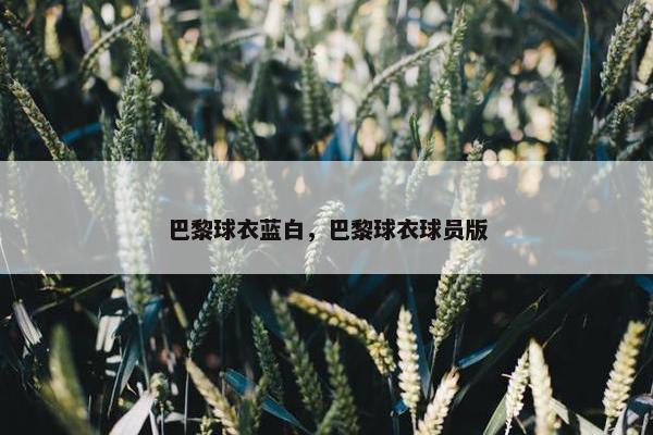 巴黎球衣蓝白，巴黎球衣球员版