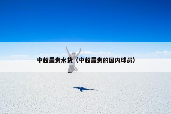 中超最贵水货（中超最贵的国内球员）