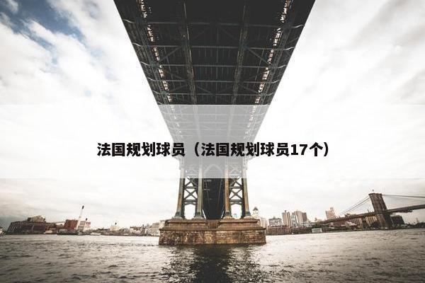法国规划球员（法国规划球员17个）