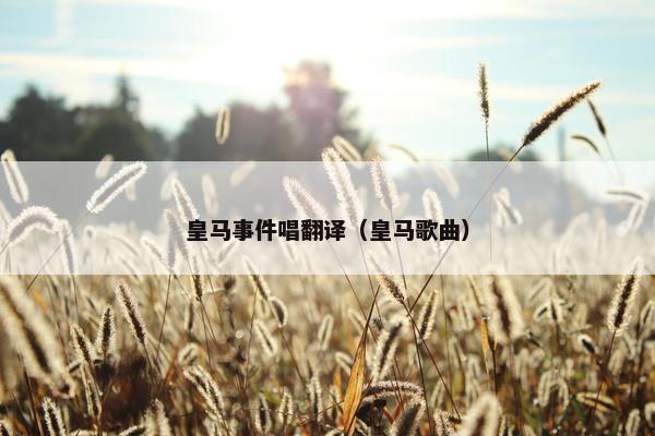 皇马事件唱翻译（皇马歌曲）