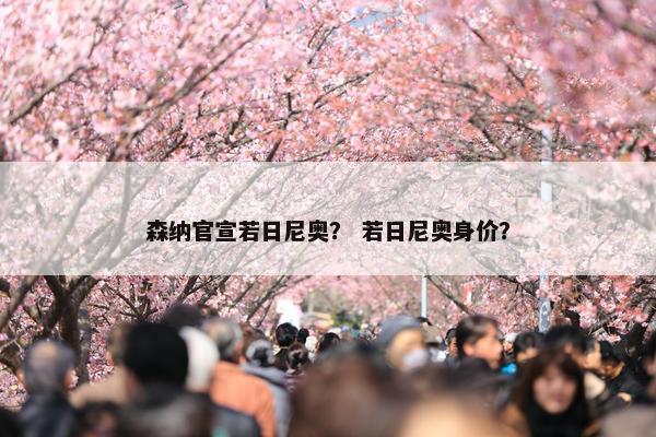森纳官宣若日尼奥？ 若日尼奥身价？