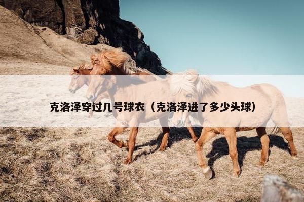 克洛泽穿过几号球衣（克洛泽进了多少头球）