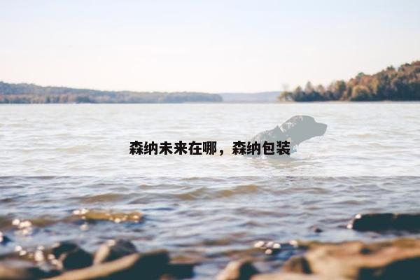 森纳未来在哪，森纳包装