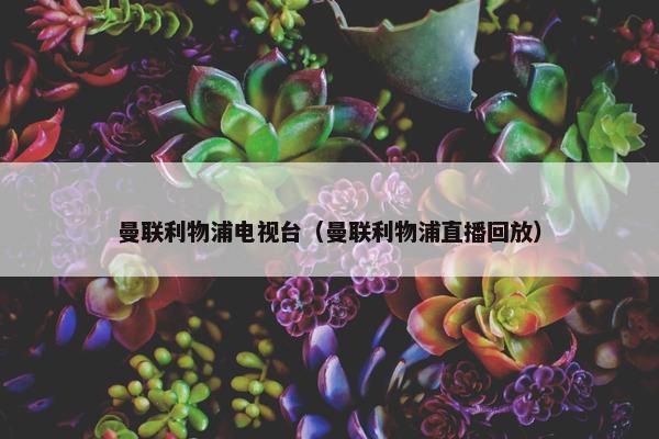 曼联利物浦电视台（曼联利物浦直播回放）