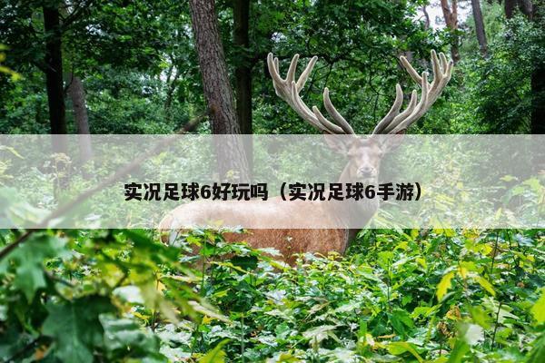 实况足球6好玩吗（实况足球6手游）