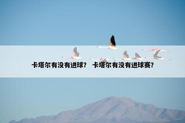 卡塔尔有没有进球？ 卡塔尔有没有进球赛？