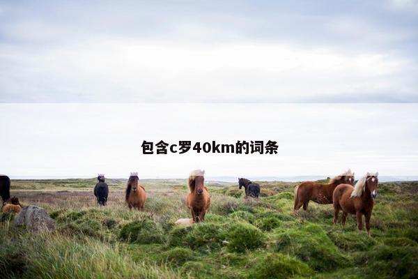 包含c罗40km的词条