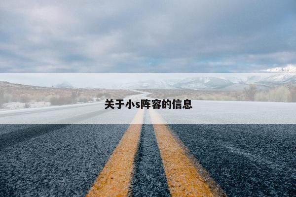 关于小s阵容的信息