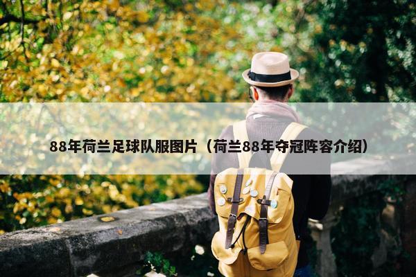 88年荷兰足球队服图片（荷兰88年夺冠阵容介绍）