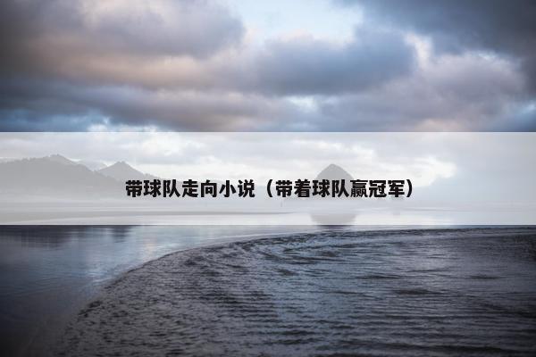 带球队走向小说（带着球队赢冠军）