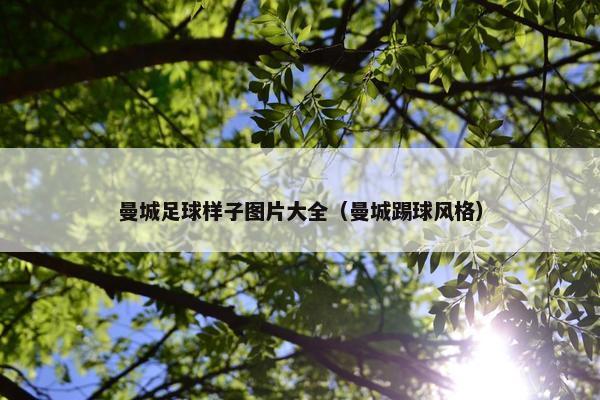 曼城足球样子图片大全（曼城踢球风格）