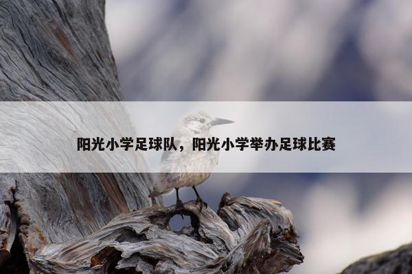 阳光小学足球队，阳光小学举办足球比赛