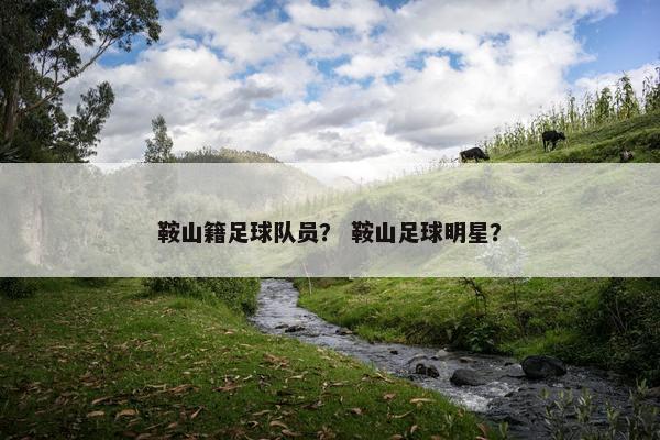 鞍山籍足球队员？ 鞍山足球明星？
