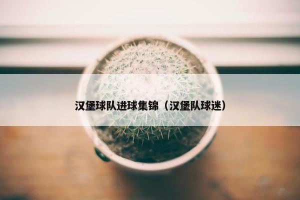 汉堡球队进球集锦（汉堡队球迷）