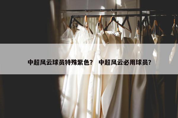 中超风云球员特殊紫色？ 中超风云必用球员？
