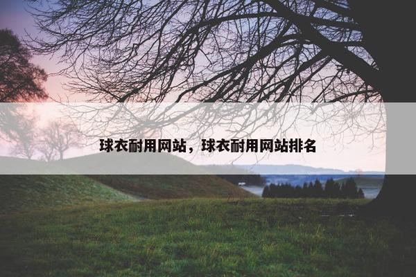 球衣耐用网站，球衣耐用网站排名