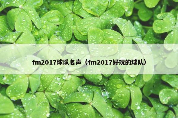 fm2017球队名声（fm2017好玩的球队）