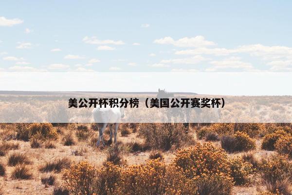 美公开杯积分榜（美国公开赛奖杯）