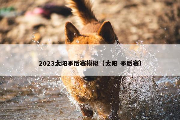 2023太阳季后赛模拟（太阳 季后赛）
