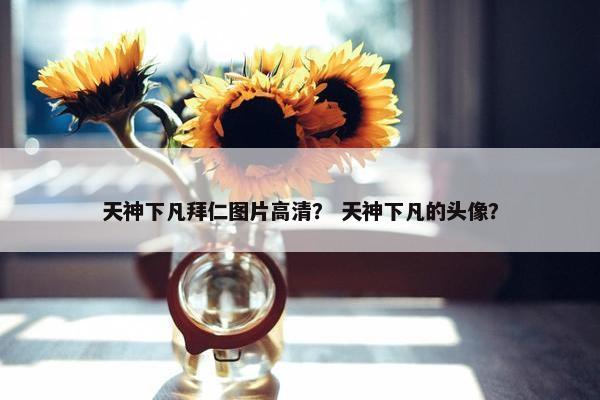 天神下凡拜仁图片高清？ 天神下凡的头像？