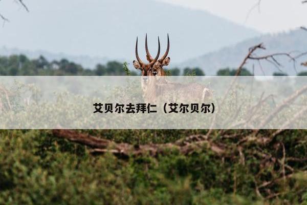 艾贝尔去拜仁（艾尔贝尔）