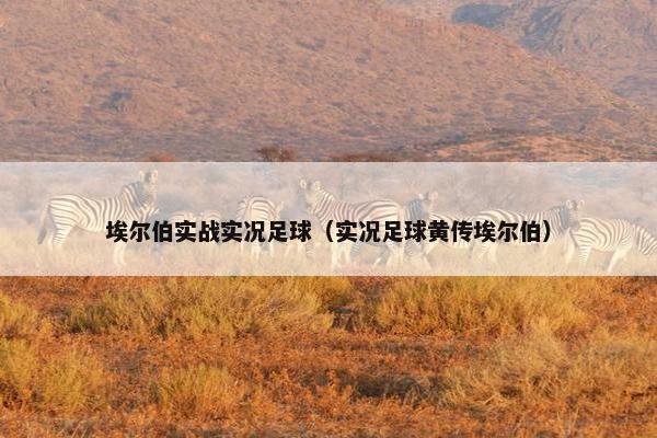 埃尔伯实战实况足球（实况足球黄传埃尔伯）