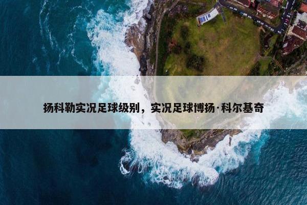 扬科勒实况足球级别，实况足球博扬·科尔基奇