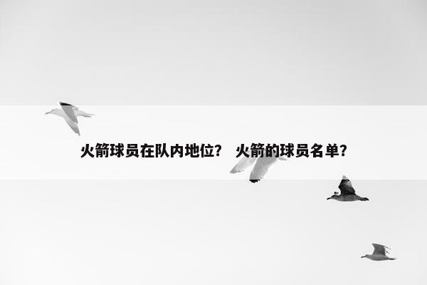 火箭球员在队内地位？ 火箭的球员名单？
