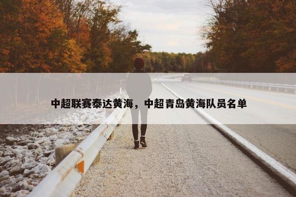 中超联赛泰达黄海，中超青岛黄海队员名单