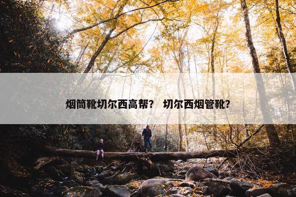 烟筒靴切尔西高帮？ 切尔西烟管靴？