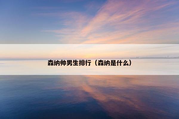 森纳帅男生排行（森纳是什么）