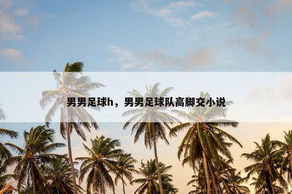 男男足球h，男男足球队高脚交小说
