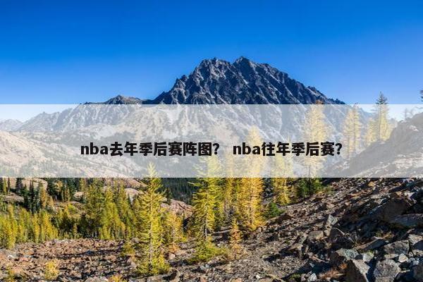 nba去年季后赛阵图？ nba往年季后赛？