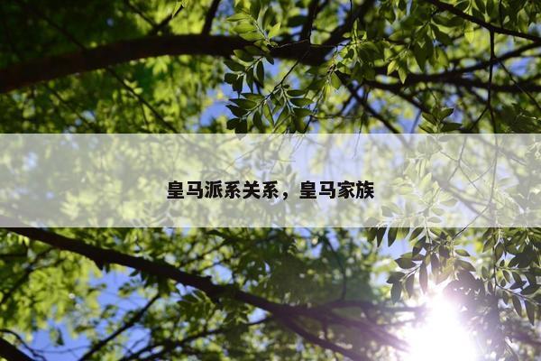 皇马派系关系，皇马家族