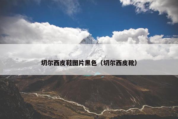 切尔西皮鞋图片黑色（切尔西皮靴）