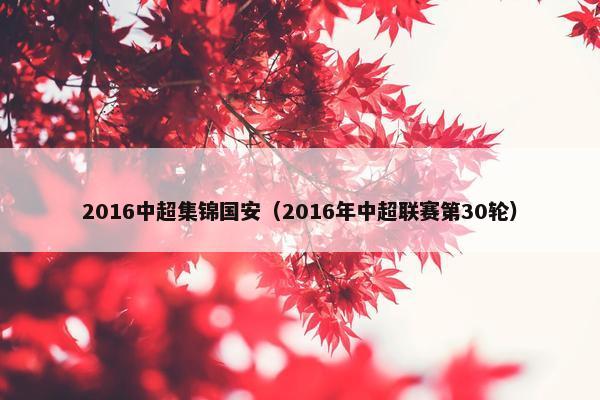 2016中超集锦国安（2016年中超联赛第30轮）