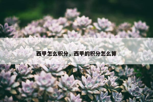 西甲怎么积分，西甲的积分怎么算