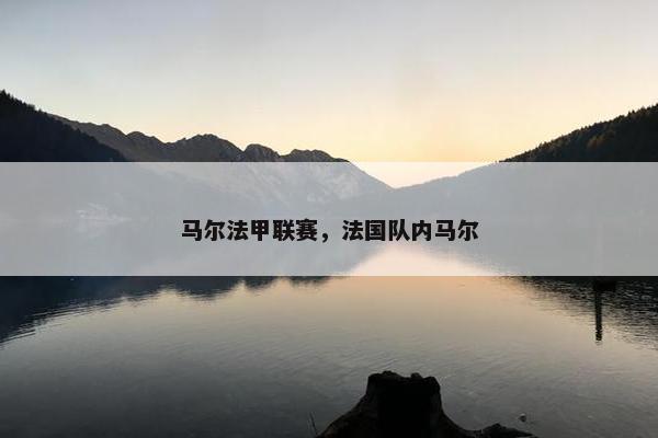 马尔法甲联赛，法国队内马尔