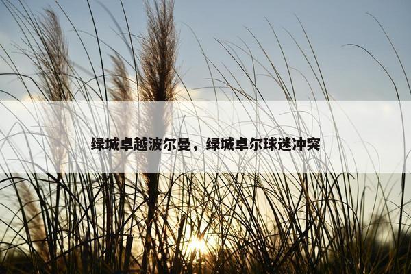 绿城卓越波尔曼，绿城卓尔球迷冲突